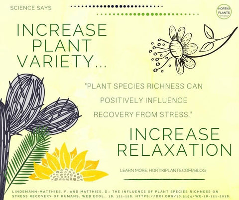 Plant variety and relaxation