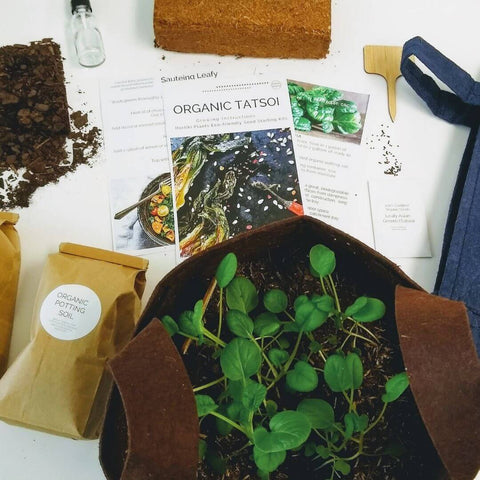 Hortiki Plants Tatsoi Asian Garden Kit. Photo shows organic soil, coconut coir, organic seeds, grow bag, instructions, and growing tatsoi plant