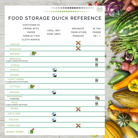 Fresh vegetables on clean background with image of printable resource. Resource shows how to store food for maximum freshness