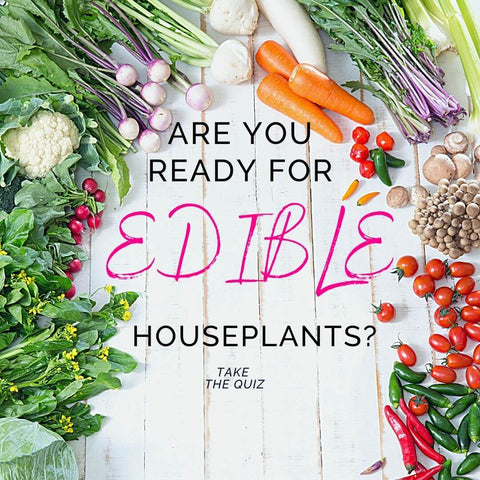 Fresh vegetables on wooden background with text "Are You Ready for Edible Houseplants"