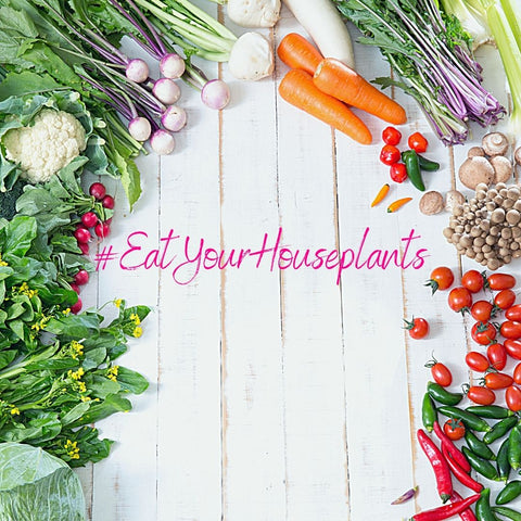 Garden vegetables on white wood. Tomatoes, carrots, beans, mushrooms, lettuce, peppers. Hashtag eat your houseplants