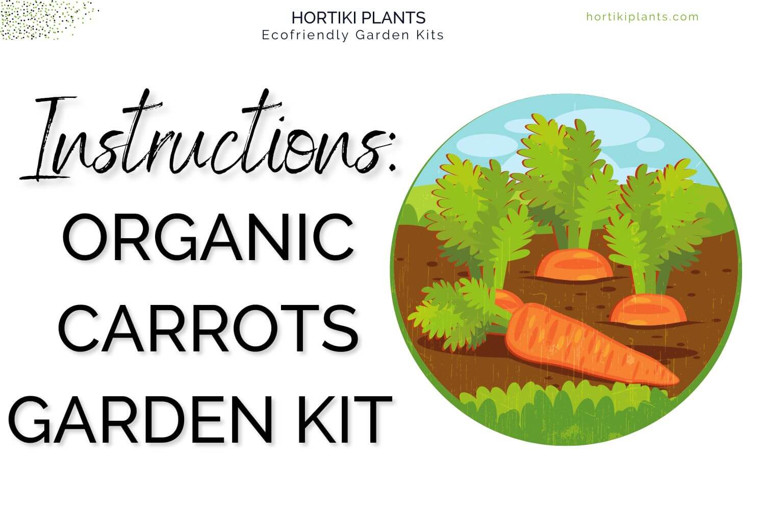 Organic Beet Kit Growing Instructions. Carrots in a field drawing