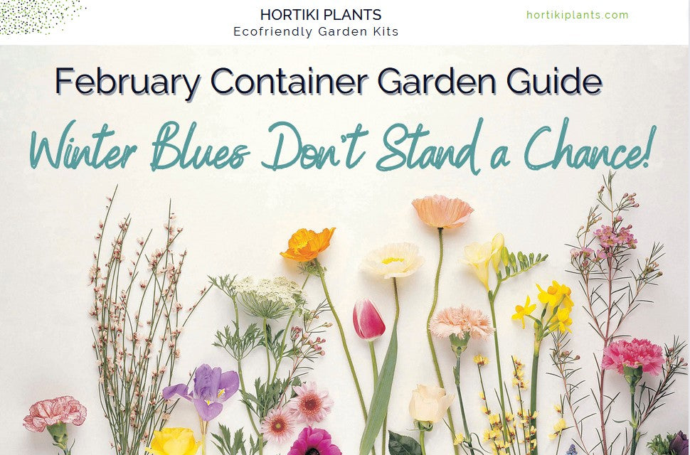 Flowers on table. February container garden guide from Hortiki Plants