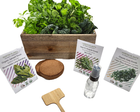 organic garden kit with spinach, arugula, kale seeds, soil wafers, planter box, plant label, and spray bottle