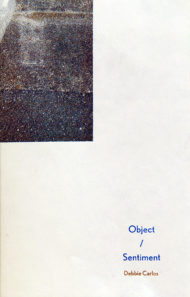 Excerpt of Object / Sentiment by Debbie Carlos