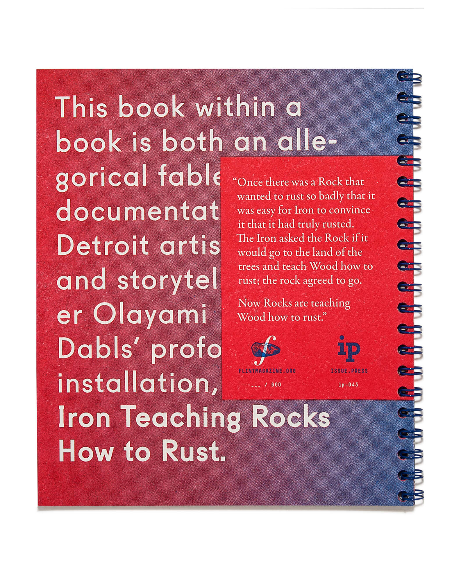Excerpt of Iron Teaching Rocks How to Rust by Olayami Dabls