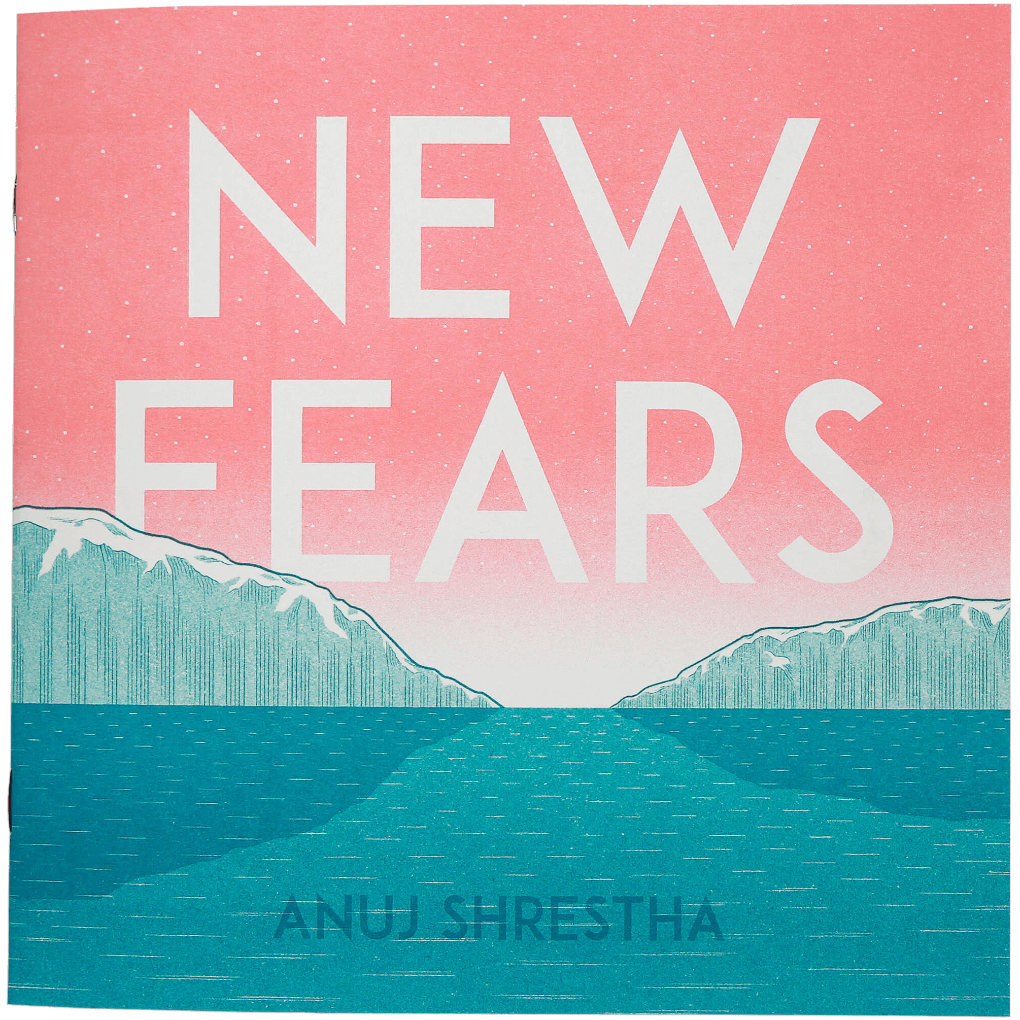 Cover image for New Fears