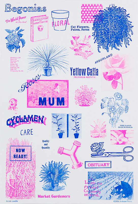 Excerpt of CCOOLL Poster Show by Nicole Lavelle