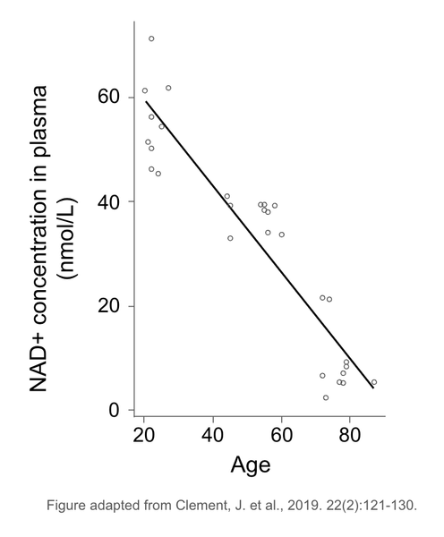 NAD decline graph Clement