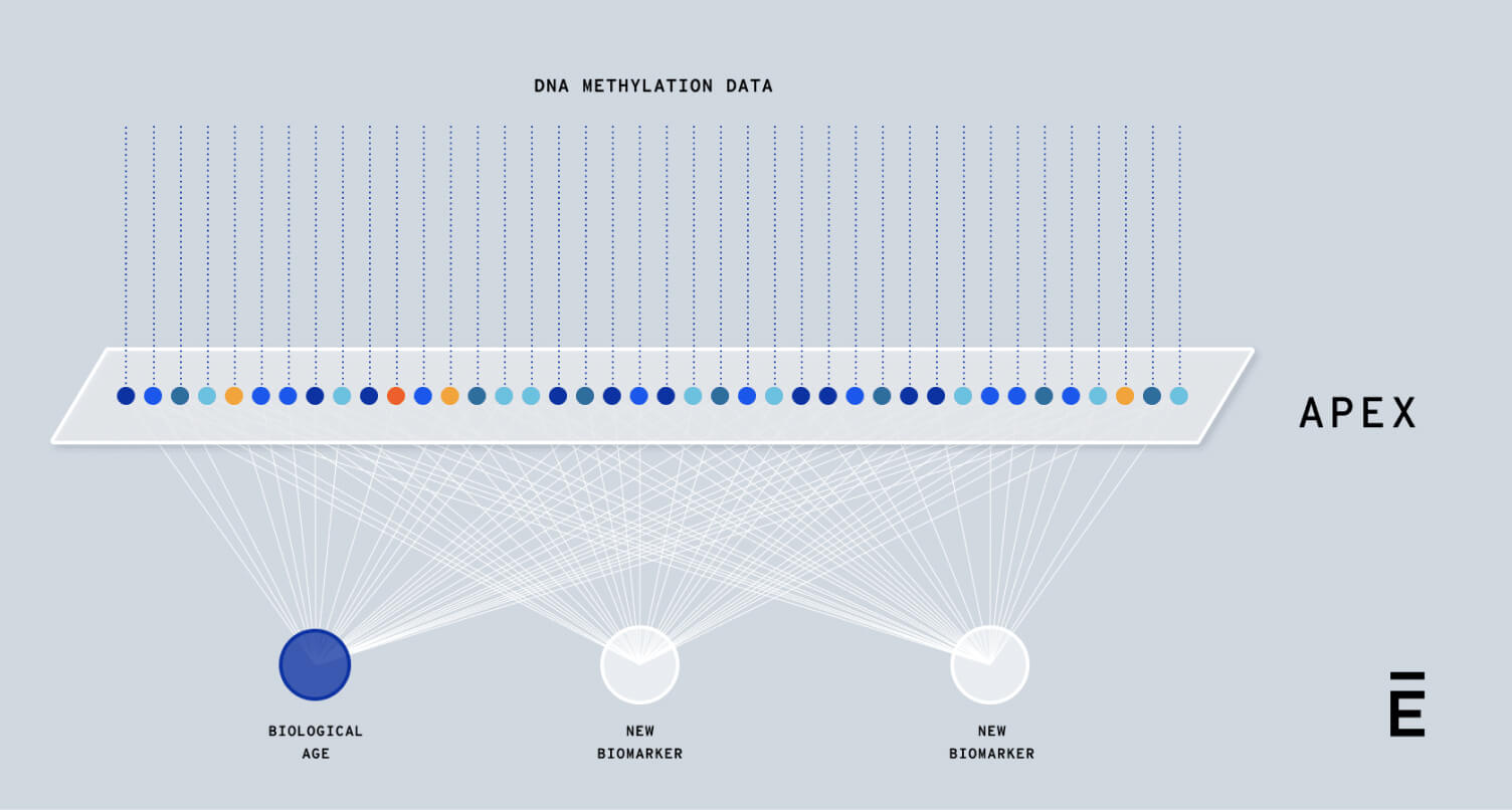 DNA Methylation Data