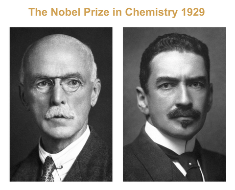 1929 Nobel Prize