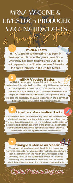 triangle-s-mrna-livestock-vaccine-info