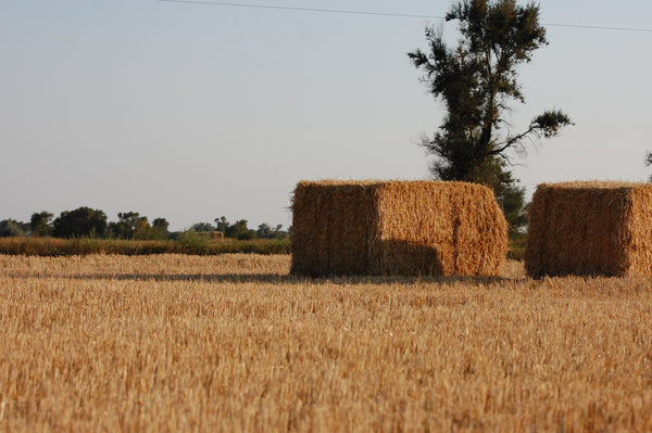 Triangle S Hay Stack