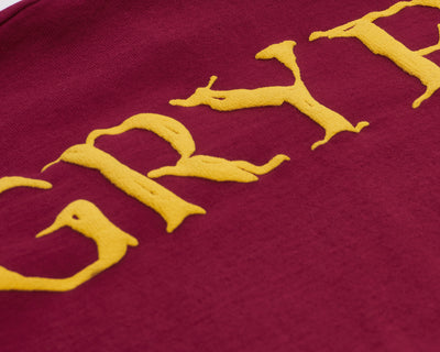 gryffindor spirit jersey