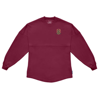 gryffindor spirit jersey