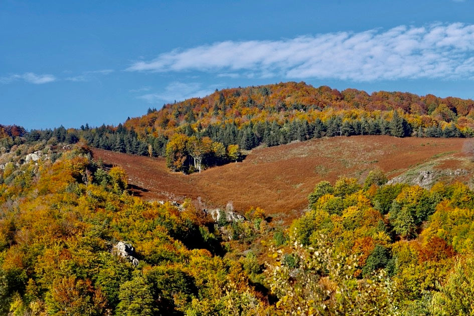 L ARDèCHE  FRANCE