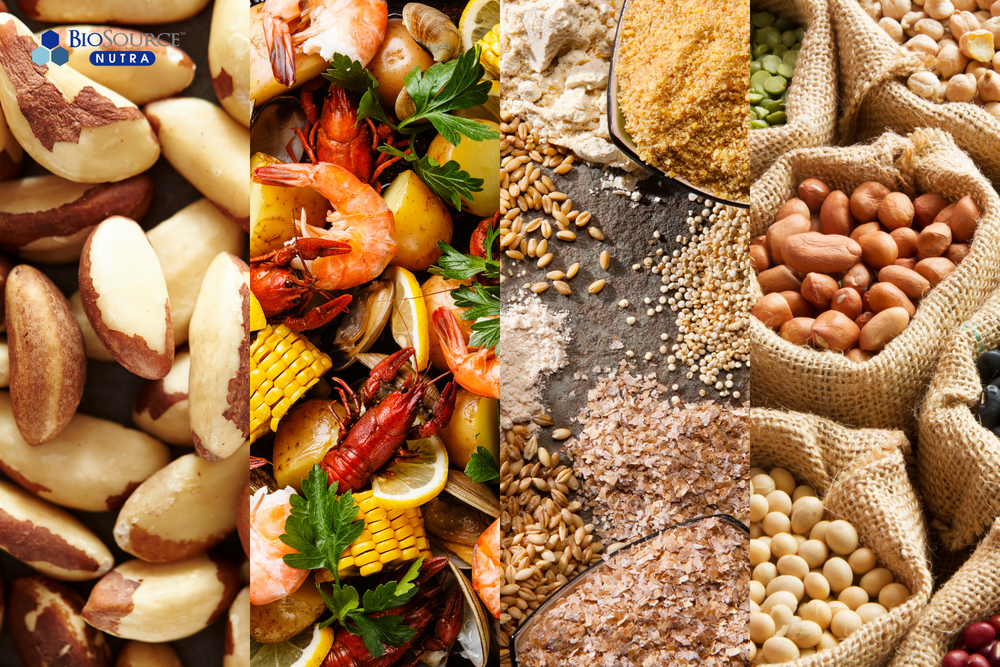 An image of nuts, seafood, and grains