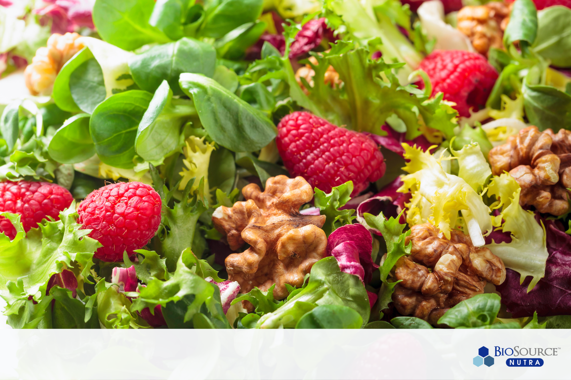 A fresh green salad with chicken, raspberries, and walnuts