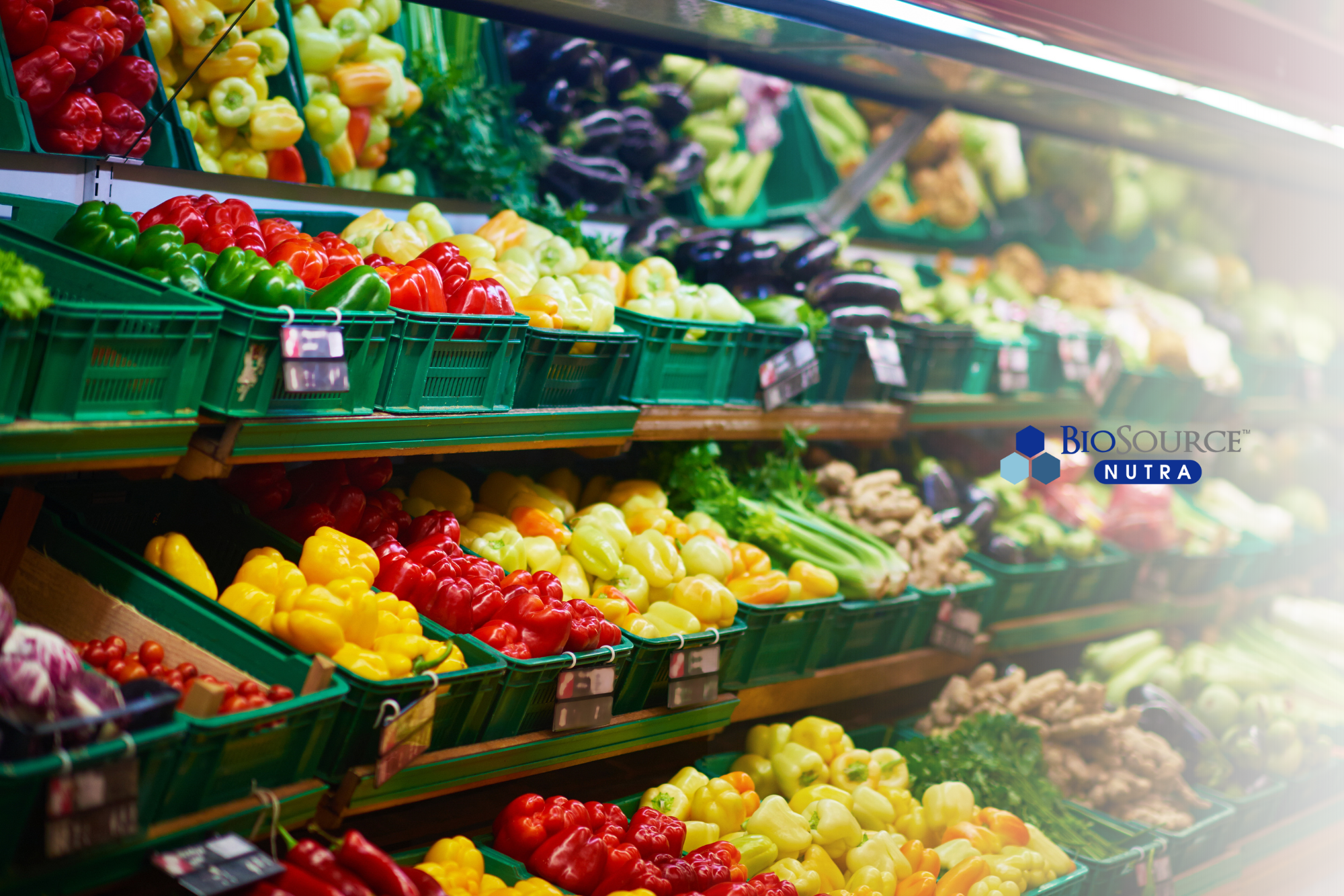 A variety of colorful and nutritious vegetables