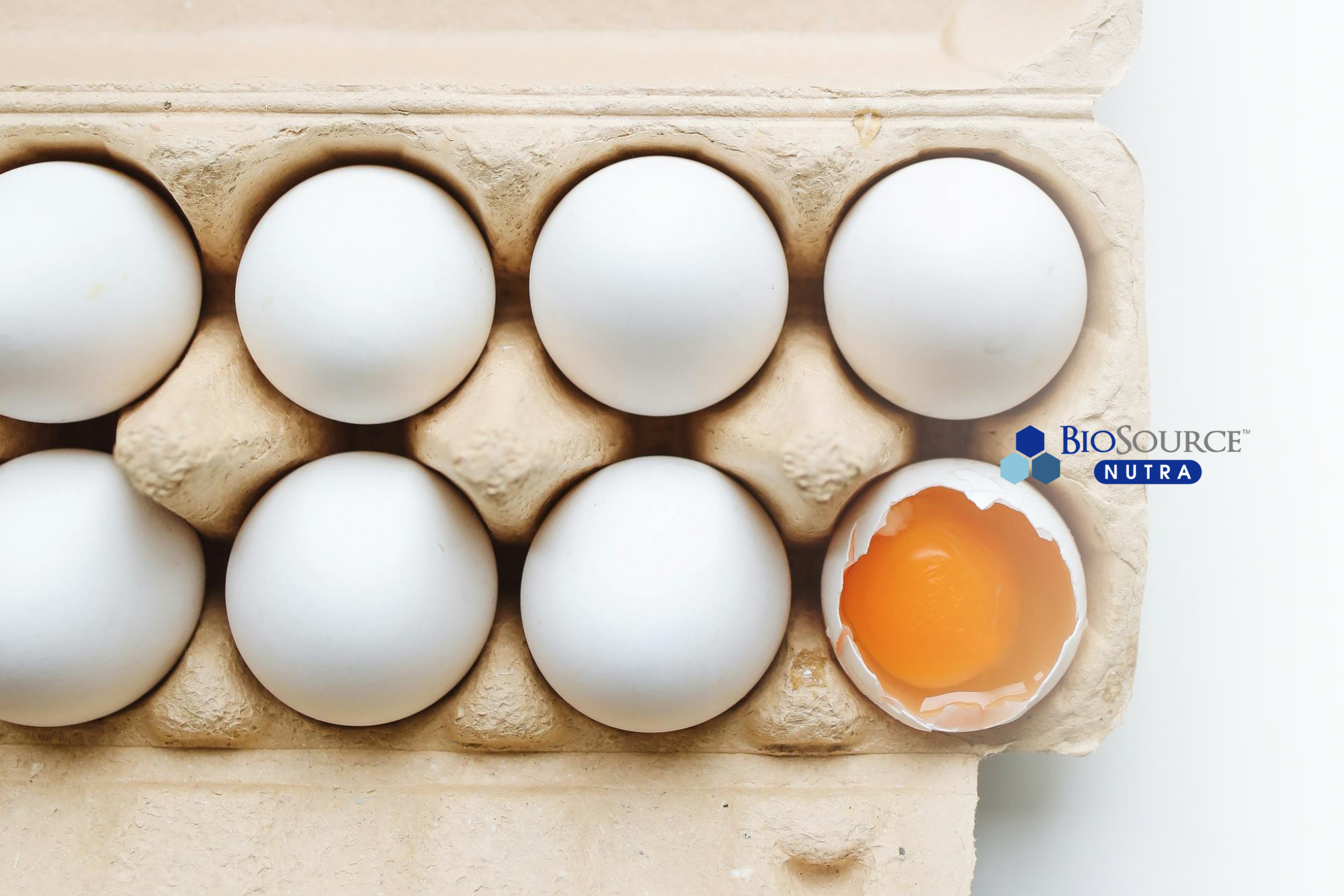 A carton of eggs, with one egg showing the yolk and whites