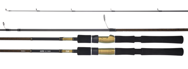 Daiwa 21 Tierra 701HFS Spin Rod – Allways Angling