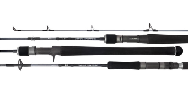 Fishing rod Team Daiwa Saltwater 701HFS, Fishing