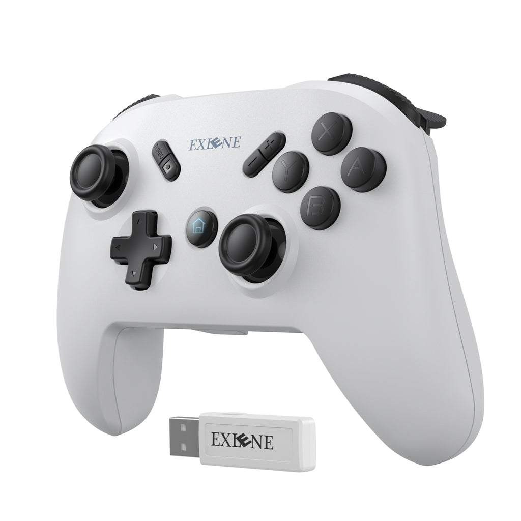 Diverse forbruge Pædagogik Wireless Switch Pro Controller for Switch/Switch Lite, 1000mAh Wireles –  EXLENE offical store