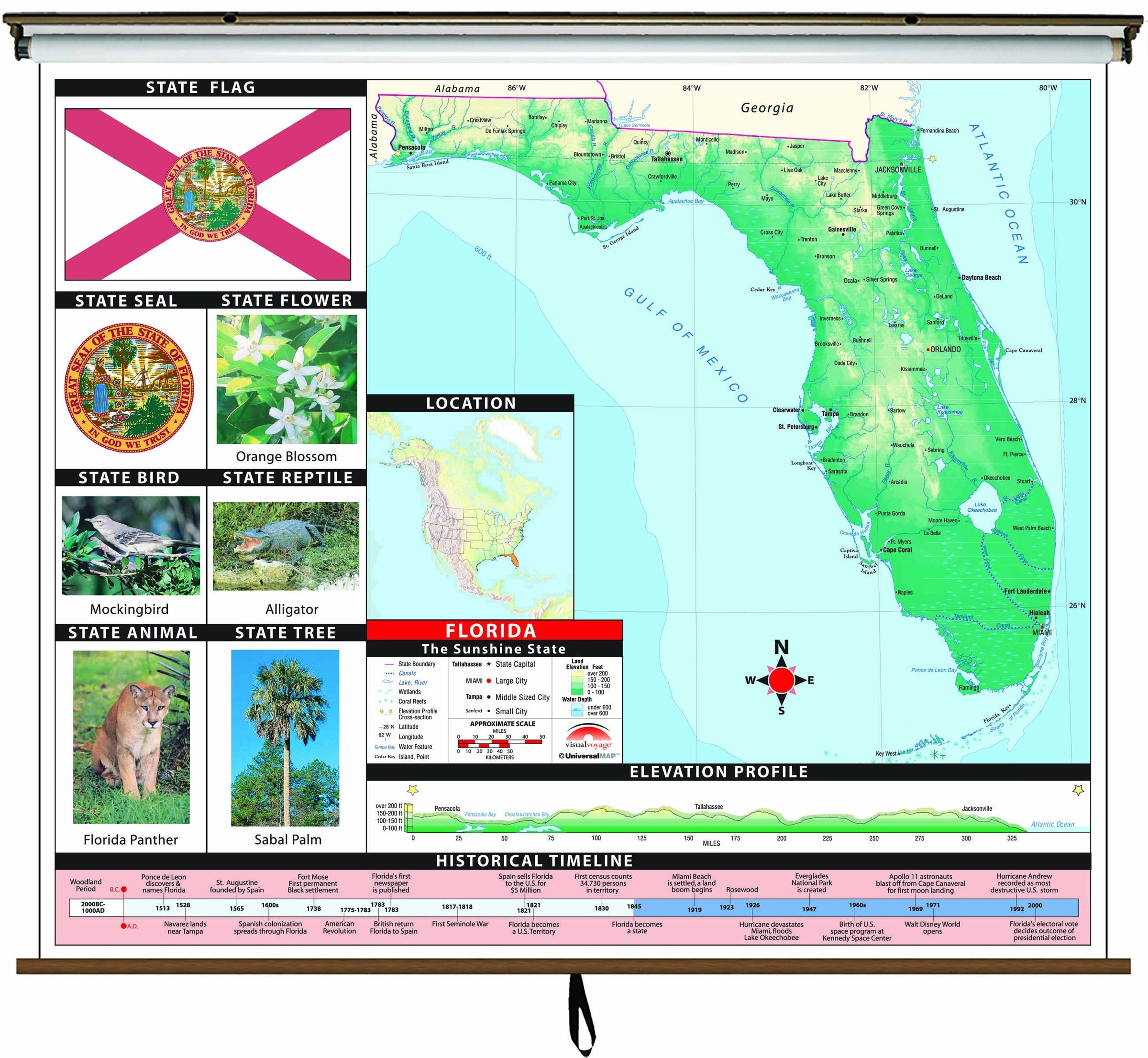 Florida State Primary Thematic Wall Map on Roller w/ Backboard Maps