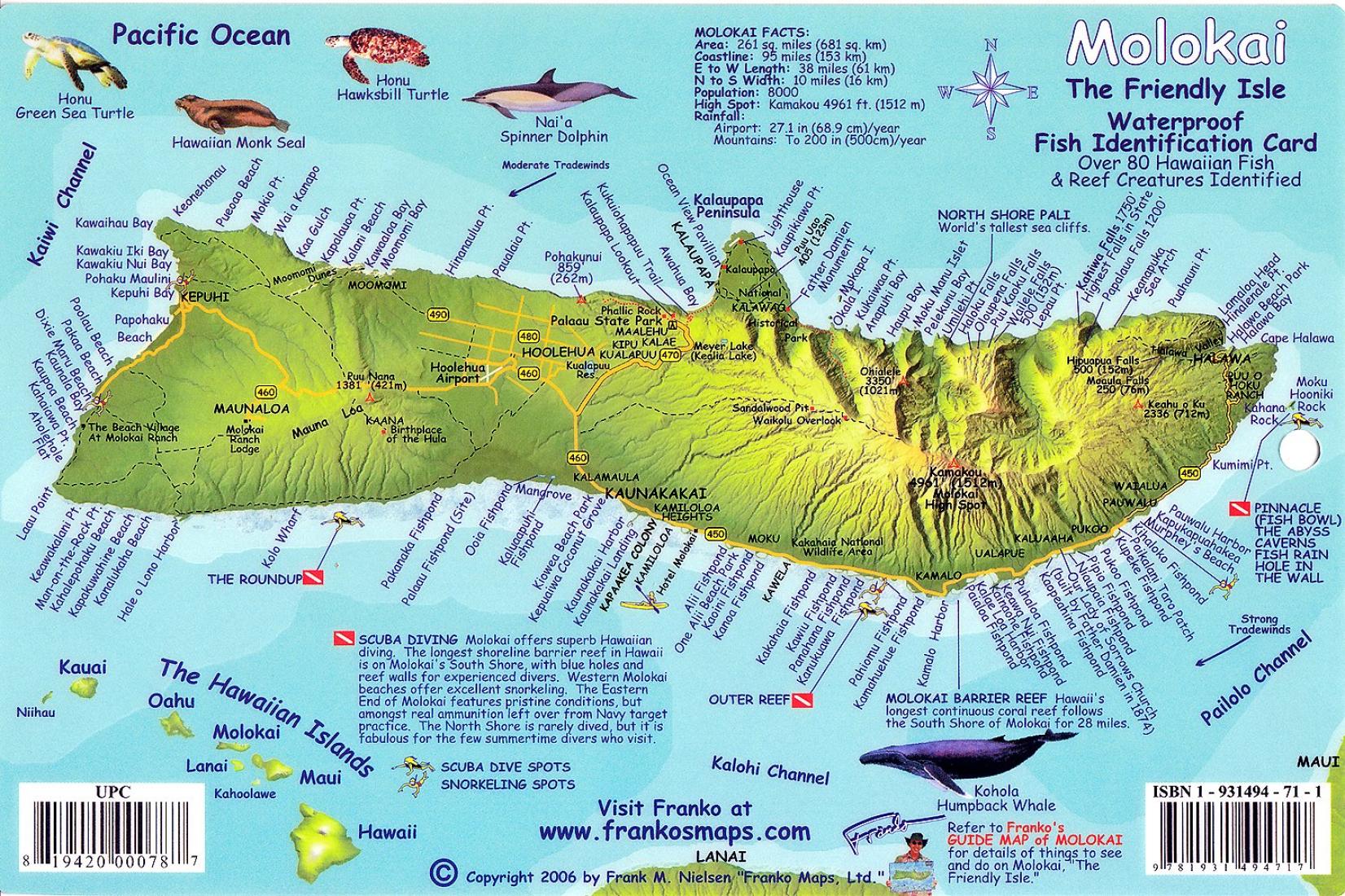 Molokai Hawaiian Islands Reef Creatures Map Fish Card By Frankos M   Big 2bbc6e5b 2967 4e34 95f2 8d5d6d3b912c 2400x 