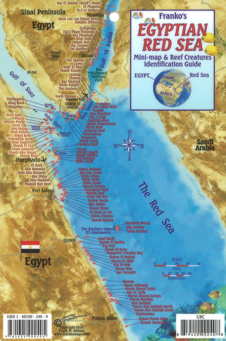 Egyptian Red Sea Mini map and Reef Creatures Map & Identification Guid