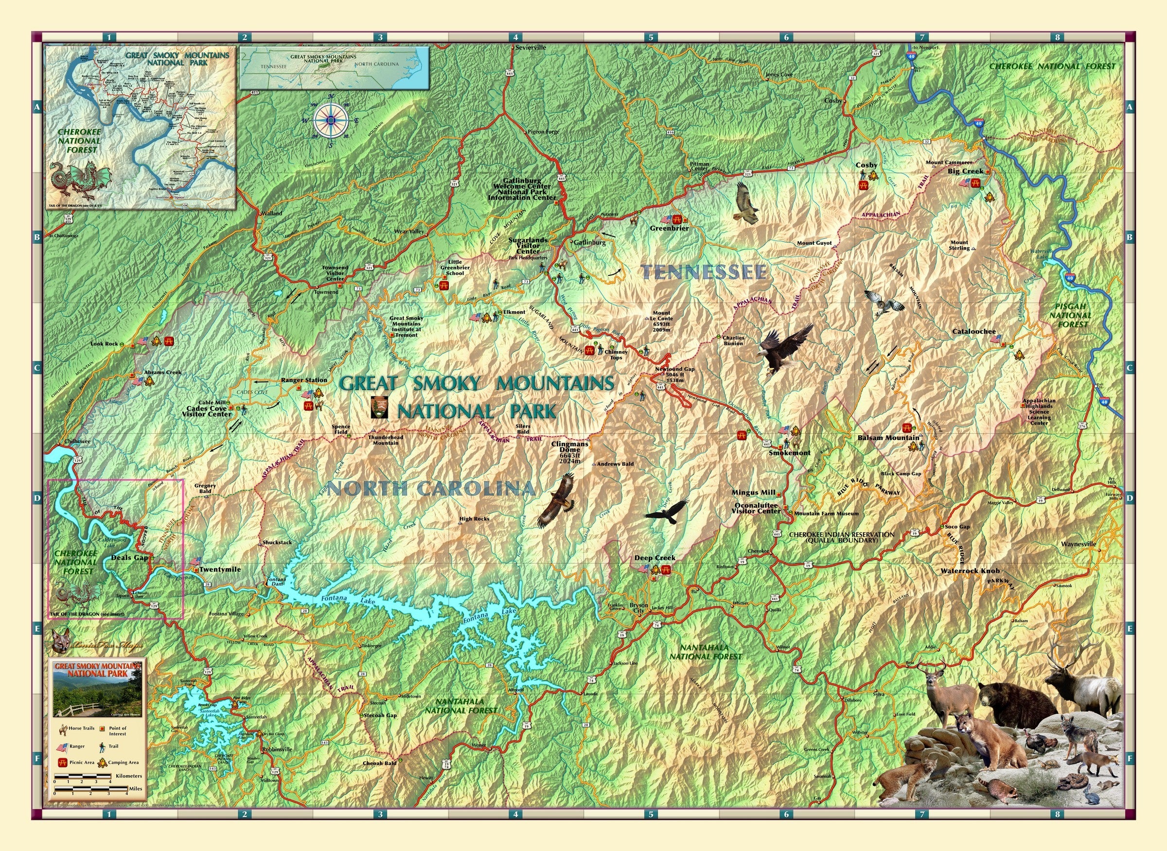 Smoky Mountains Np Wall 38 X 27.74 2400x ?v=1572560994