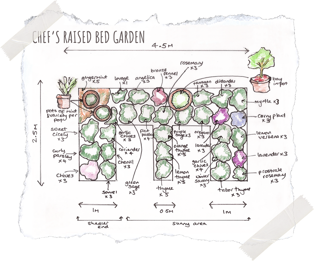 Chef's Raised Bed Herb Garden