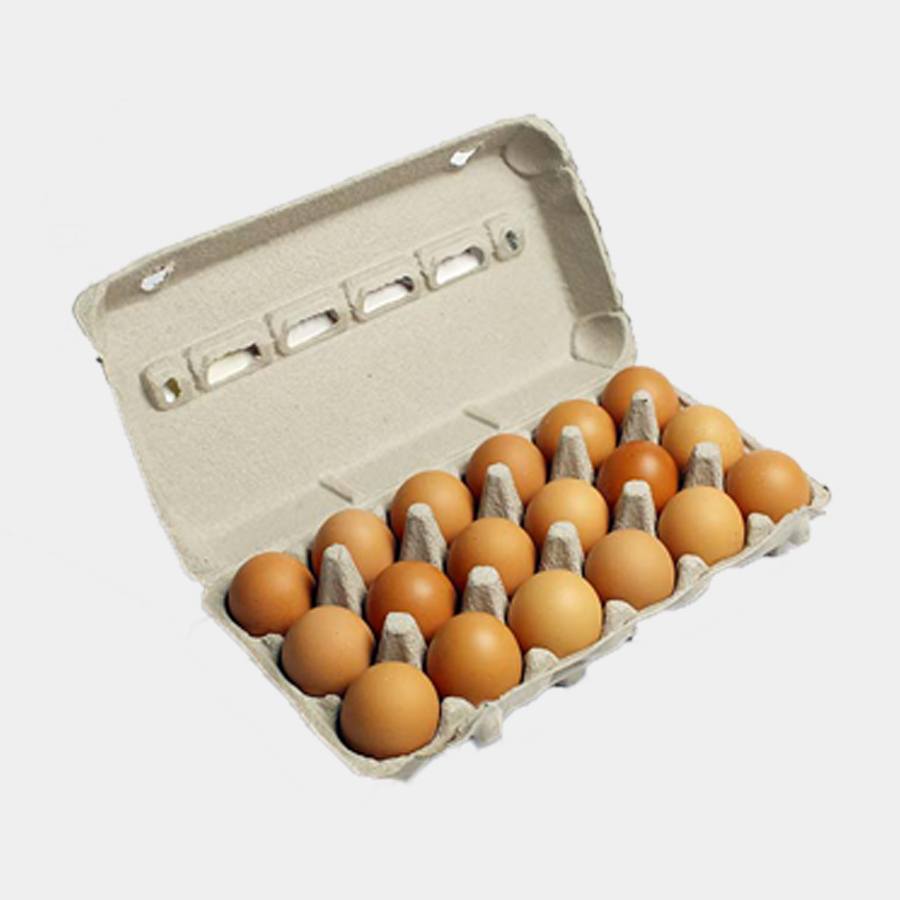 Eggs Free Range  (15s)