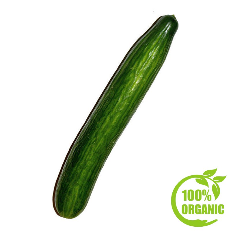 Organic Cucumber