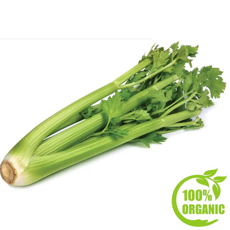 Organic Celery Juicing Box 4kg (No leaves)