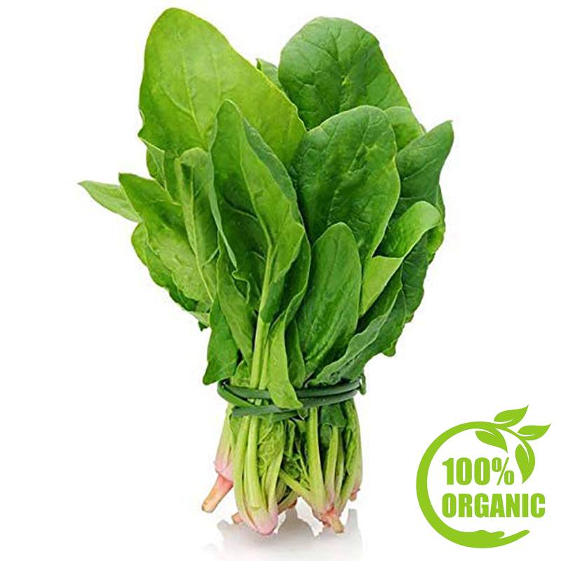 yellow Canary Organic Swiss Chard 200 g