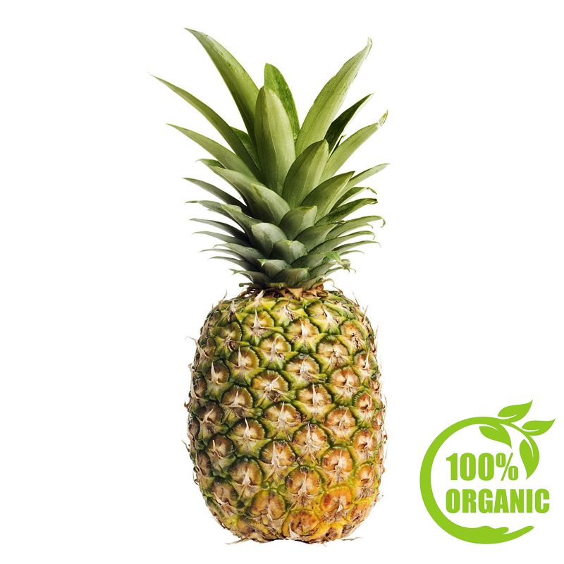 Organic Pineapple Single