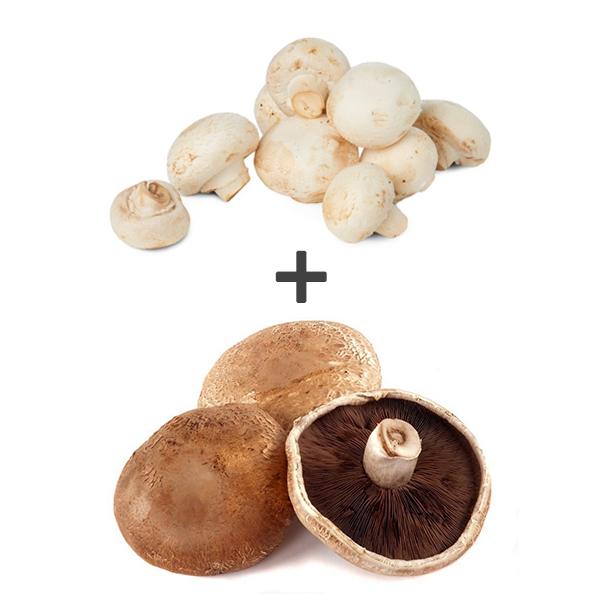Brown &amp; White 250g Mushrooms