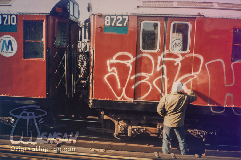 The Bronx 1991 "Daytime Throw-up Action" Part 3