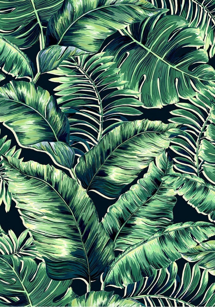 Banana Leaves Wallpaper Leaf Green Brand McKenzie| The Design Yard