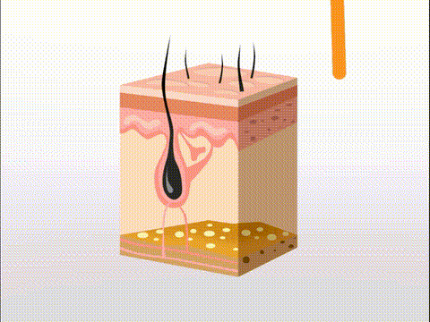how works lash serum