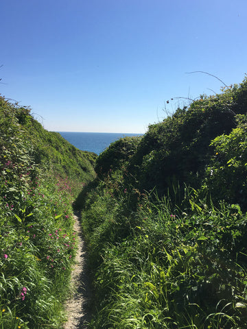 Narrow path leading to the sea through a green valley.