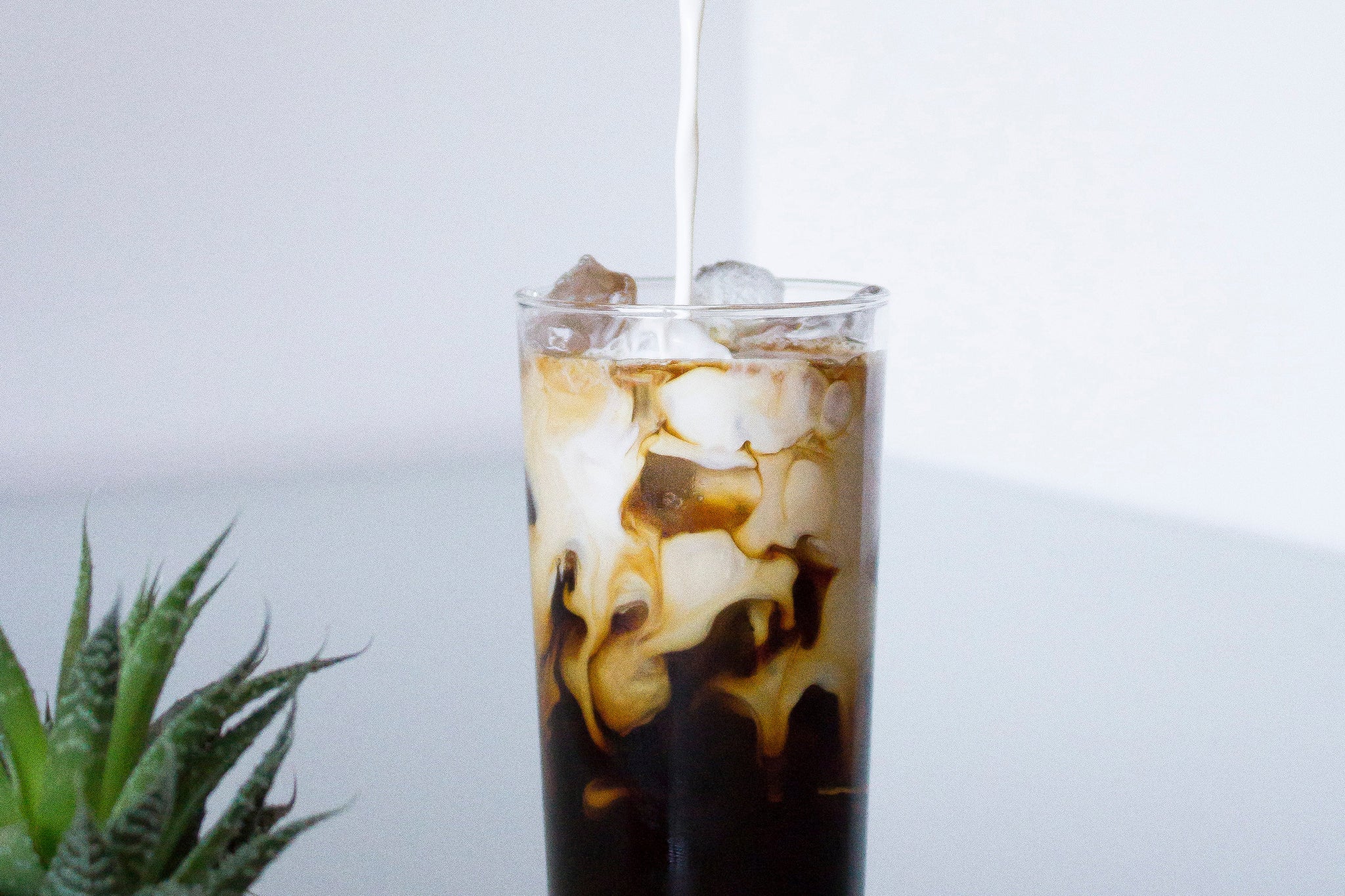 protein iced coffee shake maken recept
