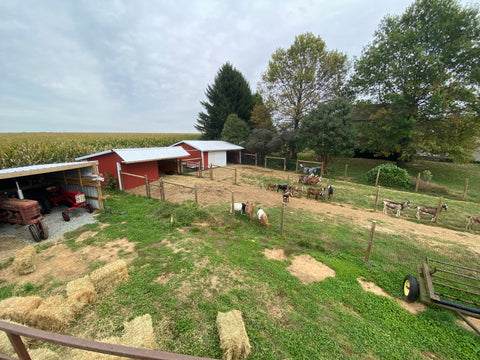 Balto Farms goat farm