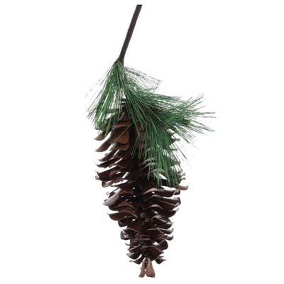 3211944-natural-pinecone