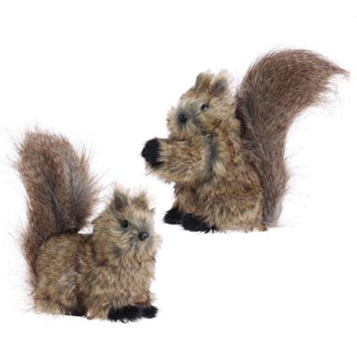 3253473-8-inch-squirrels