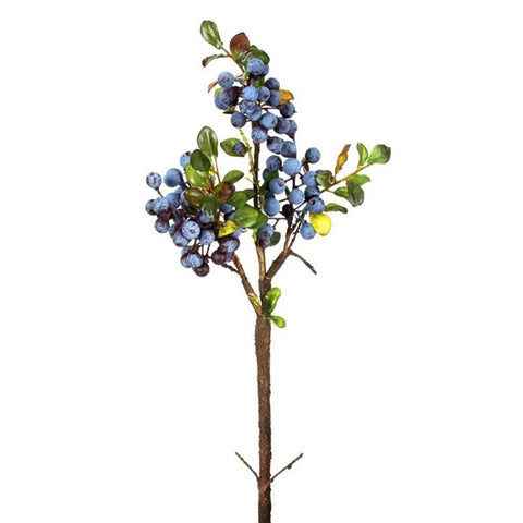 Blueberry Spray at Trendy Tree