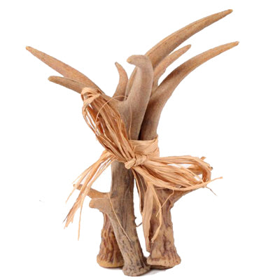 MZ1564-antler-raffia