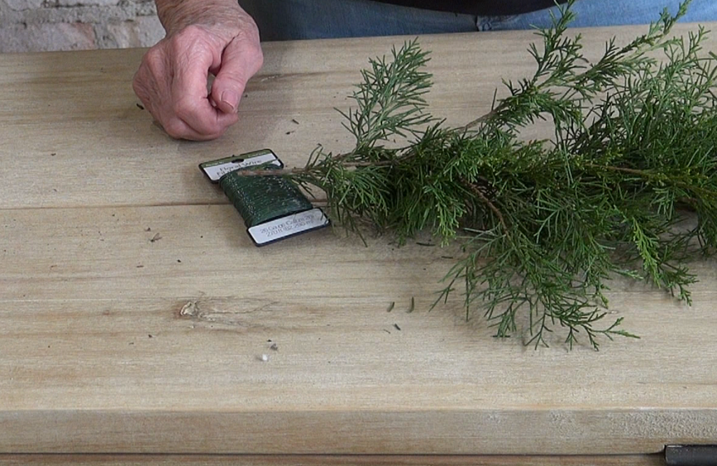 fresh cedar clippings