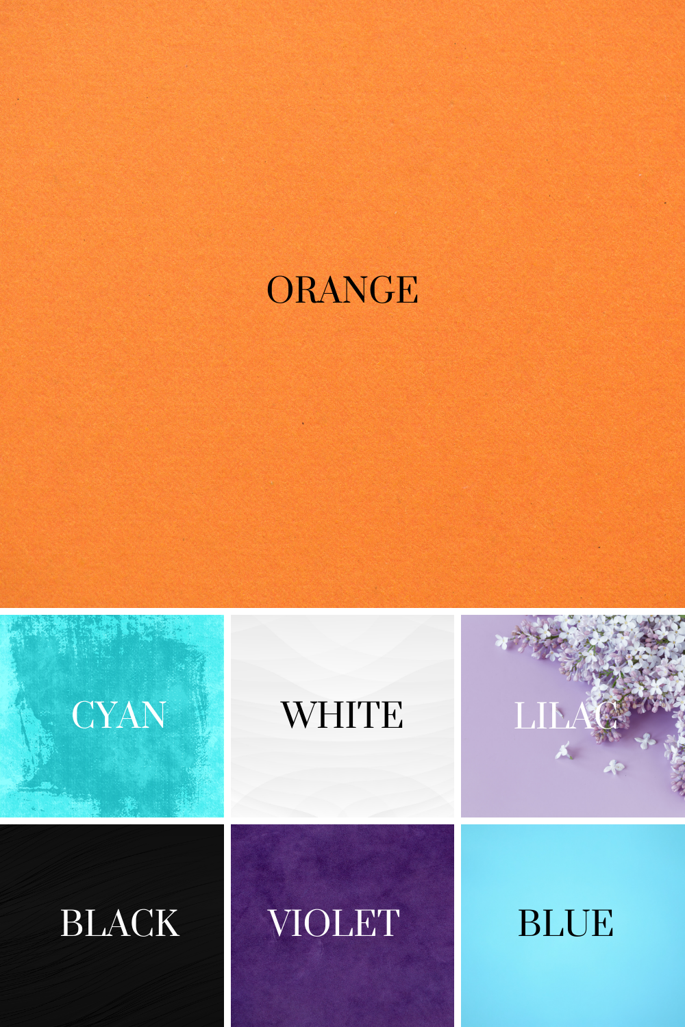 What Colors go with Orange? — Trendy Tree